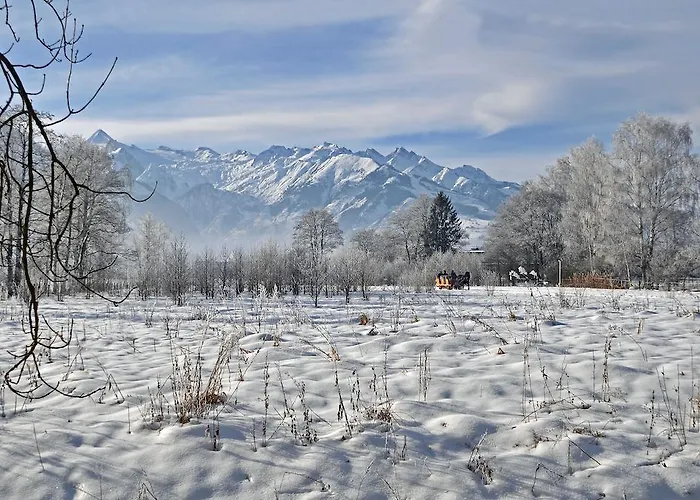 Dahoam By Sarina - & 3* צל-אם-זי